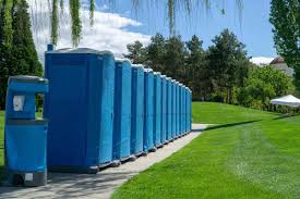 Best Standard Portable Toilet Rental  in Hoyt Lakes, MN